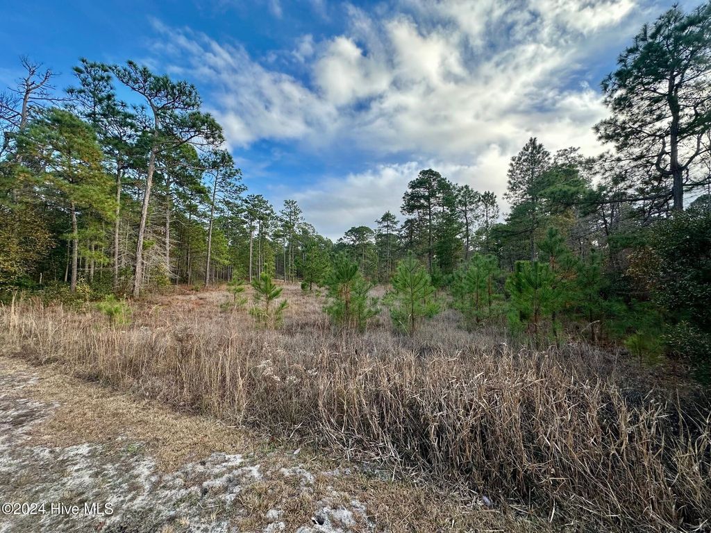 Photo of 292 S Horsepen Road, Harrells, NC 28444 (MLS # 100480836)