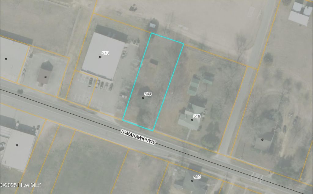 Photo of 544 Tomahawk Highway, Harrells, NC 28444 (MLS # 100536078)