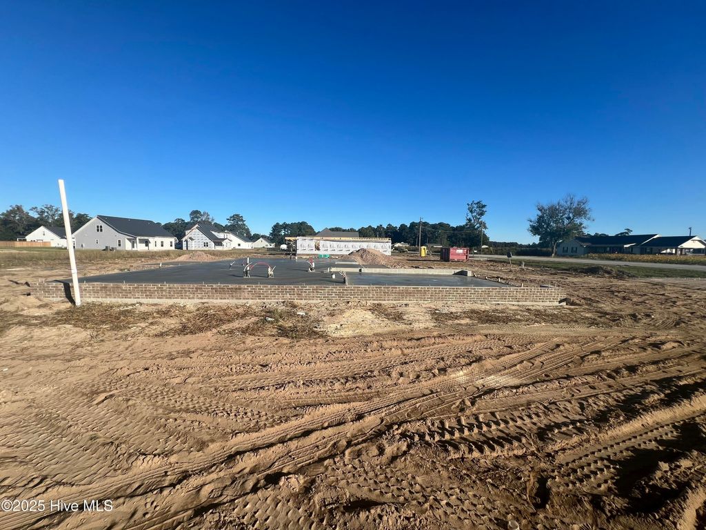 Photo of 3696 Drew Farmer Road, La Grange, NC 28551 (MLS # 100536666)