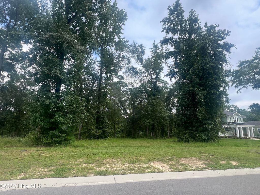 Photo of 9152 Fallen Pear Lane NE, Leland, NC 28451 (MLS # 100401544)