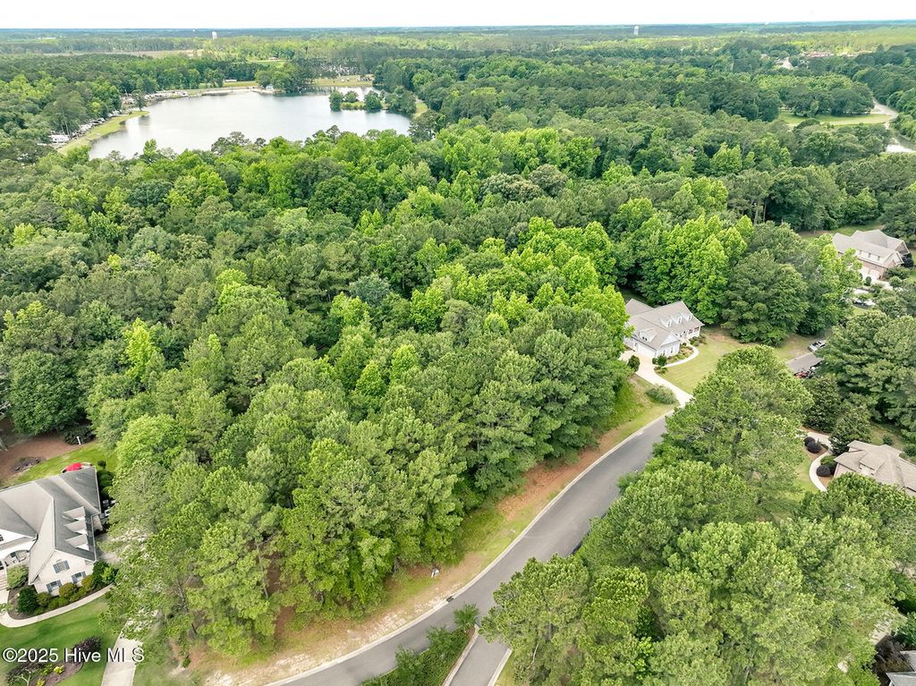 Photo of 217 October Glory Drive, Wallace, NC 28466 (MLS # 100514537)