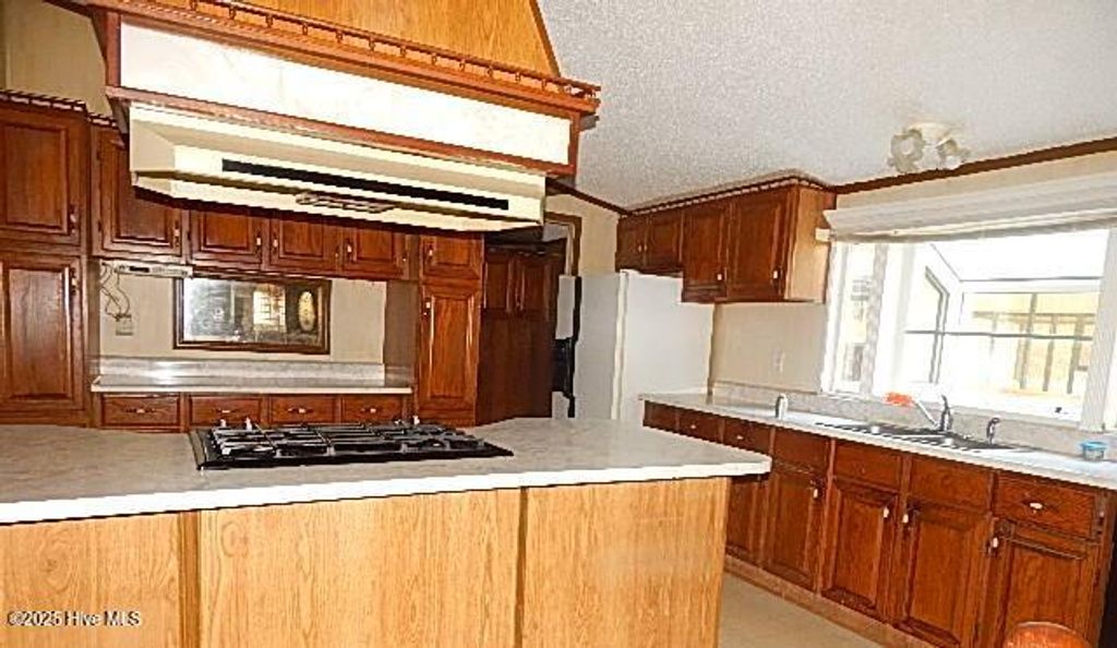 Photo of 149 Jeff Murphy Lane, Magnolia, NC 28453 (MLS # 100542922)