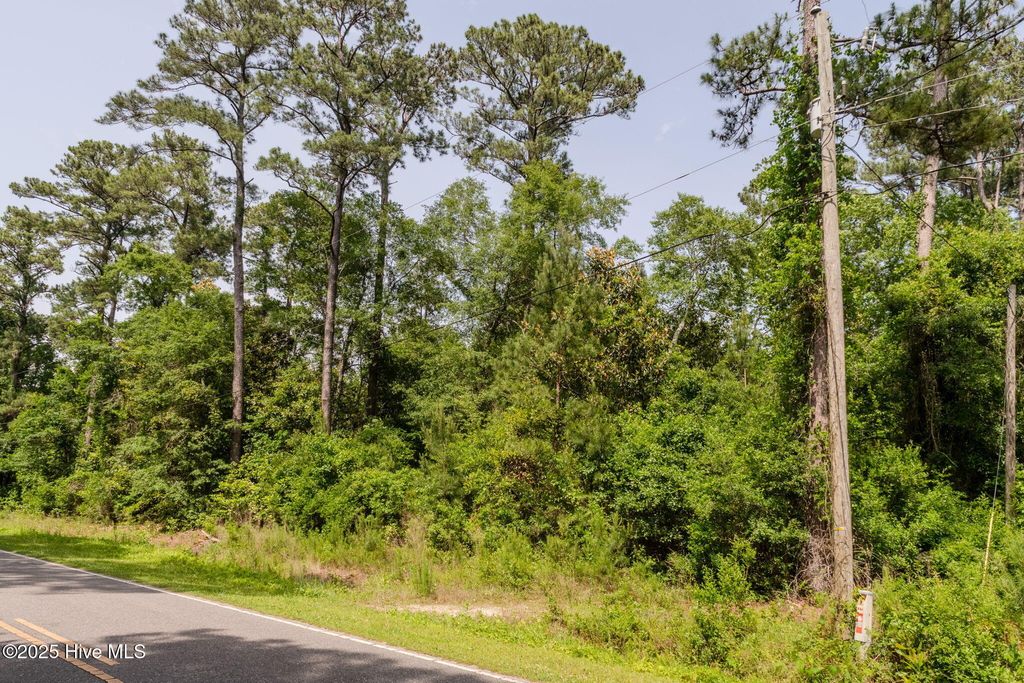 Photo of 3014 Oakley Circle, Castle Hayne, NC 28429 (MLS # 100508109)