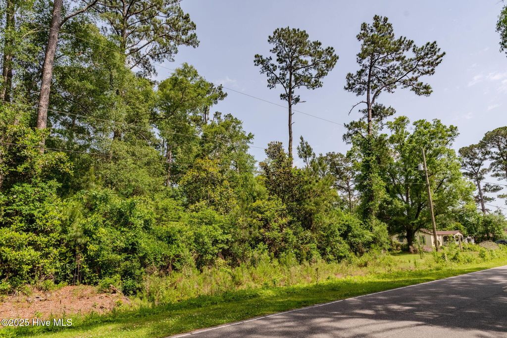 Photo of 3014 Oakley Circle, Castle Hayne, NC 28429 (MLS # 100508109)