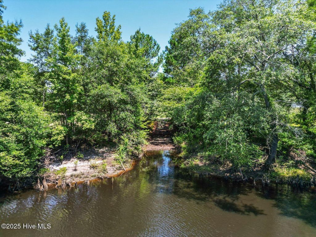 Photo of 364 Murray Turner Farm Road, Burgaw, NC 28425 (MLS # 100521843)