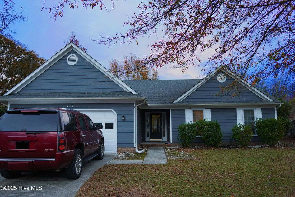 Photo of 315 Peppertree Court, Jacksonville, NC 28540 (MLS # 100543579)