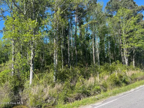 MLS: 100501885
