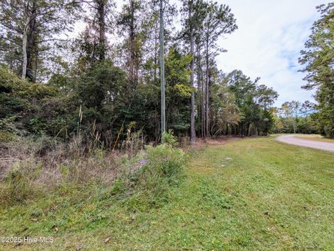 Tiny photo for 238 Mill Creek Road, Stella, NC 28582 (MLS # 100535245)