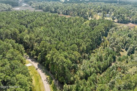 Tiny photo for 238 Mill Creek Road, Stella, NC 28582 (MLS # 100535245)