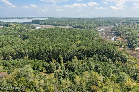 Tiny photo for 238 Mill Creek Road, Stella, NC 28582 (MLS # 100535245)