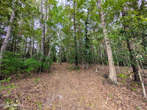 Tiny photo for 238 Mill Creek Road, Stella, NC 28582 (MLS # 100535245)