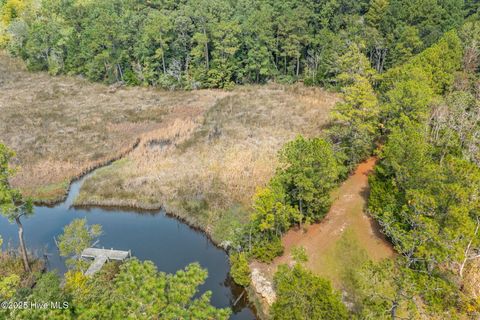 Tiny photo for 238 Mill Creek Road, Stella, NC 28582 (MLS # 100535245)