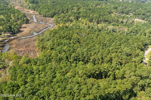 Tiny photo for 238 Mill Creek Road, Stella, NC 28582 (MLS # 100535245)