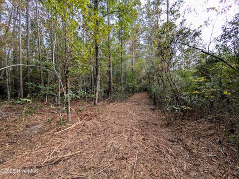 Tiny photo for 238 Mill Creek Road, Stella, NC 28582 (MLS # 100535245)