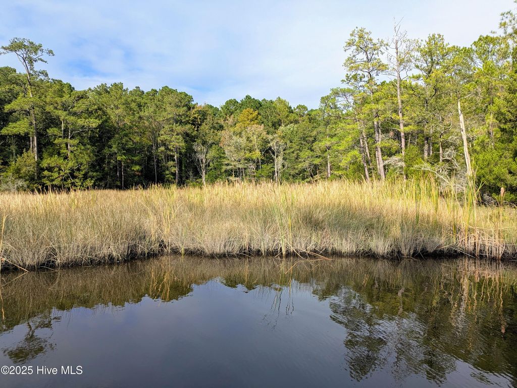 Photo of 238 Mill Creek Road, Stella, NC 28582 (MLS # 100535245)