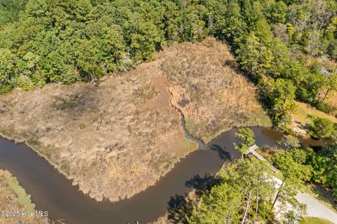 Tiny photo for 238 Mill Creek Road, Stella, NC 28582 (MLS # 100535245)