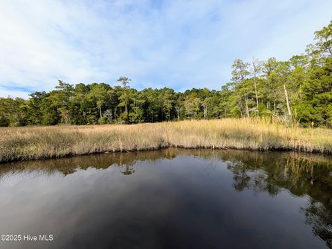Tiny photo for 238 Mill Creek Road, Stella, NC 28582 (MLS # 100535245)