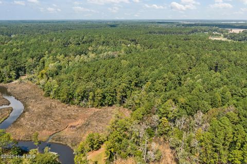 Tiny photo for 238 Mill Creek Road, Stella, NC 28582 (MLS # 100535245)