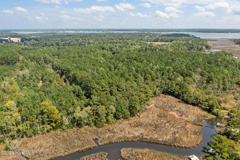 Tiny photo for 238 Mill Creek Road, Stella, NC 28582 (MLS # 100535245)