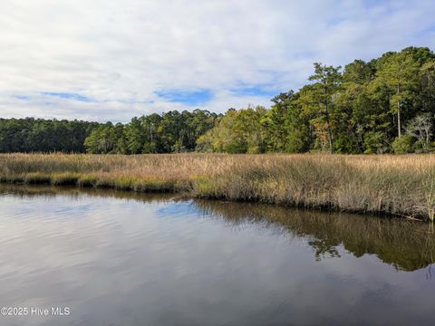 Tiny photo for 238 Mill Creek Road, Stella, NC 28582 (MLS # 100535245)