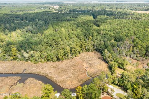 Tiny photo for 238 Mill Creek Road, Stella, NC 28582 (MLS # 100535245)