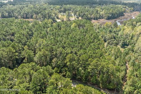 Tiny photo for 238 Mill Creek Road, Stella, NC 28582 (MLS # 100535245)
