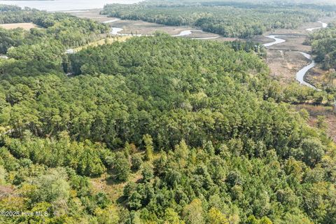 Tiny photo for 238 Mill Creek Road, Stella, NC 28582 (MLS # 100535245)