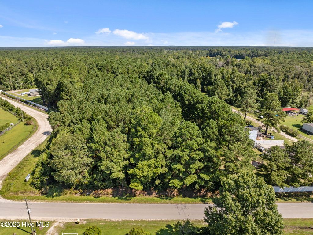 Photo of 1784 Woodard Road NW, Supply, NC 28462 (MLS # 100527806)