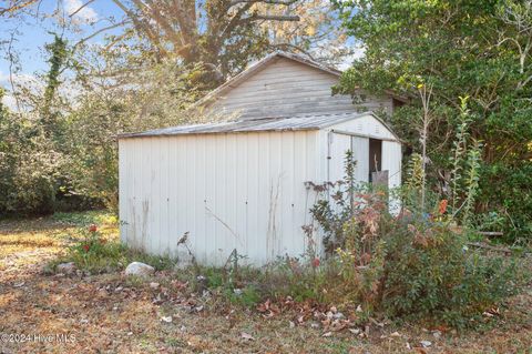 A home in Williamston