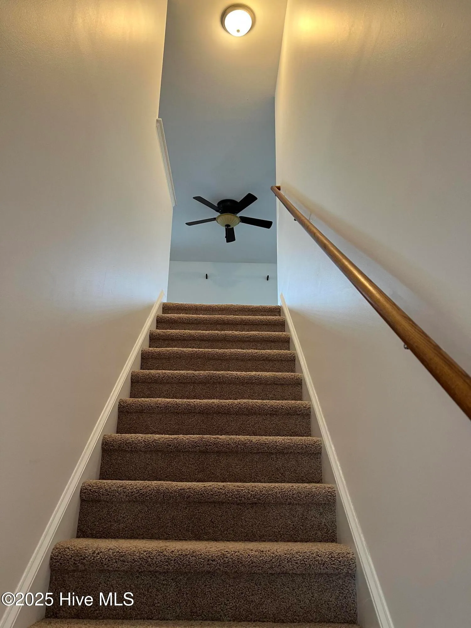 Greenville, North Carolina 27834, United States, 4 Bedrooms Bedrooms, ,3 BathroomsBathrooms,Residential,Active,111041