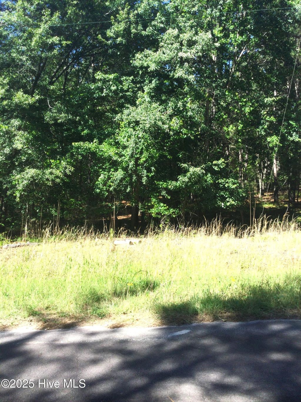 Photo of 108 Millstone Court, West End, NC 27376 (MLS # 100510402)