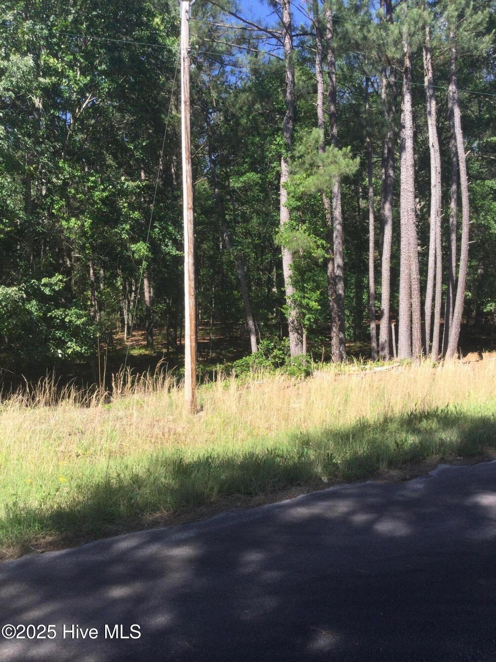 Photo of 108 Millstone Court, West End, NC 27376 (MLS # 100510402)