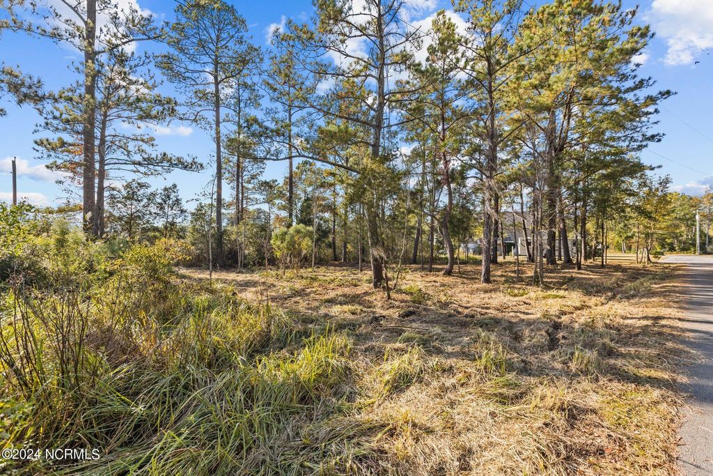 Photo of 5 River Walk Drive, Washington, NC 27889 (MLS # 100445892)