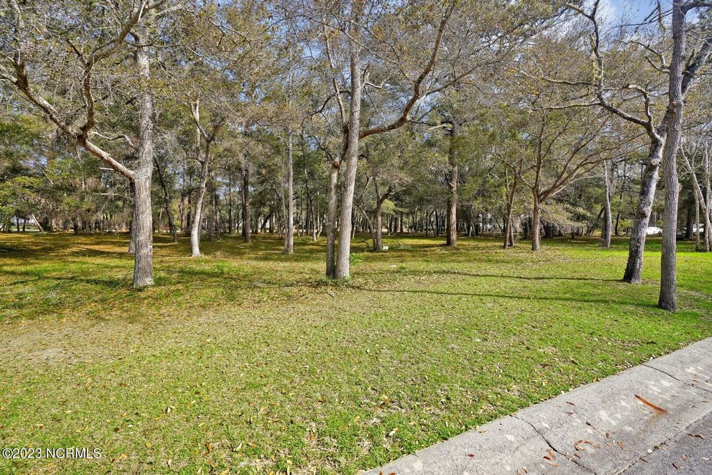 Photo of 712 Beaufain Street SW, Supply, NC 28462 (MLS # 100495356)