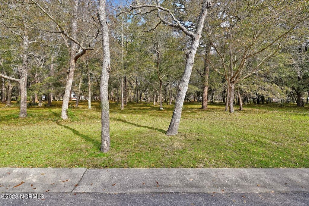 Photo of 712 Beaufain Street SW, Supply, NC 28462 (MLS # 100495356)