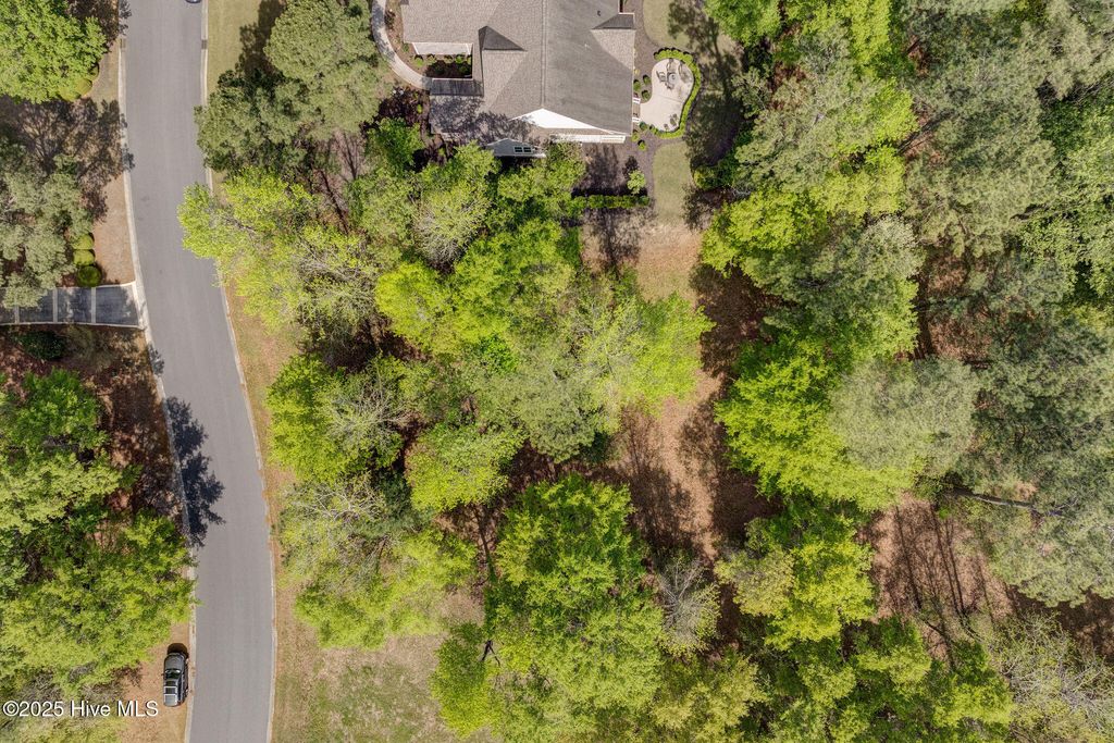 Photo of 161 Maple Creek Drive, Wallace, NC 28466 (MLS # 100500546)