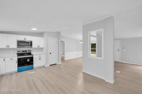 Tiny photo for 19056 Nc Highway 210 Highway, Rocky Point, NC 28457 (MLS # 100534127)