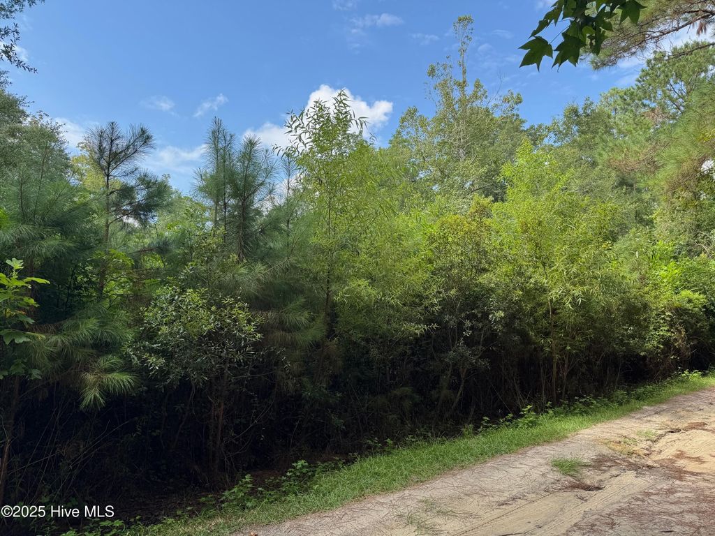 Photo of 4477 Tavia Lane SW, Shallotte, NC 28470 (MLS # 100525447)
