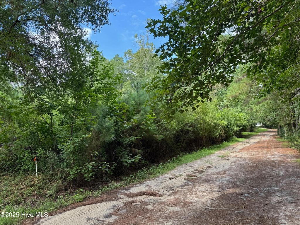 Photo of 4477 Tavia Lane SW, Shallotte, NC 28470 (MLS # 100525447)
