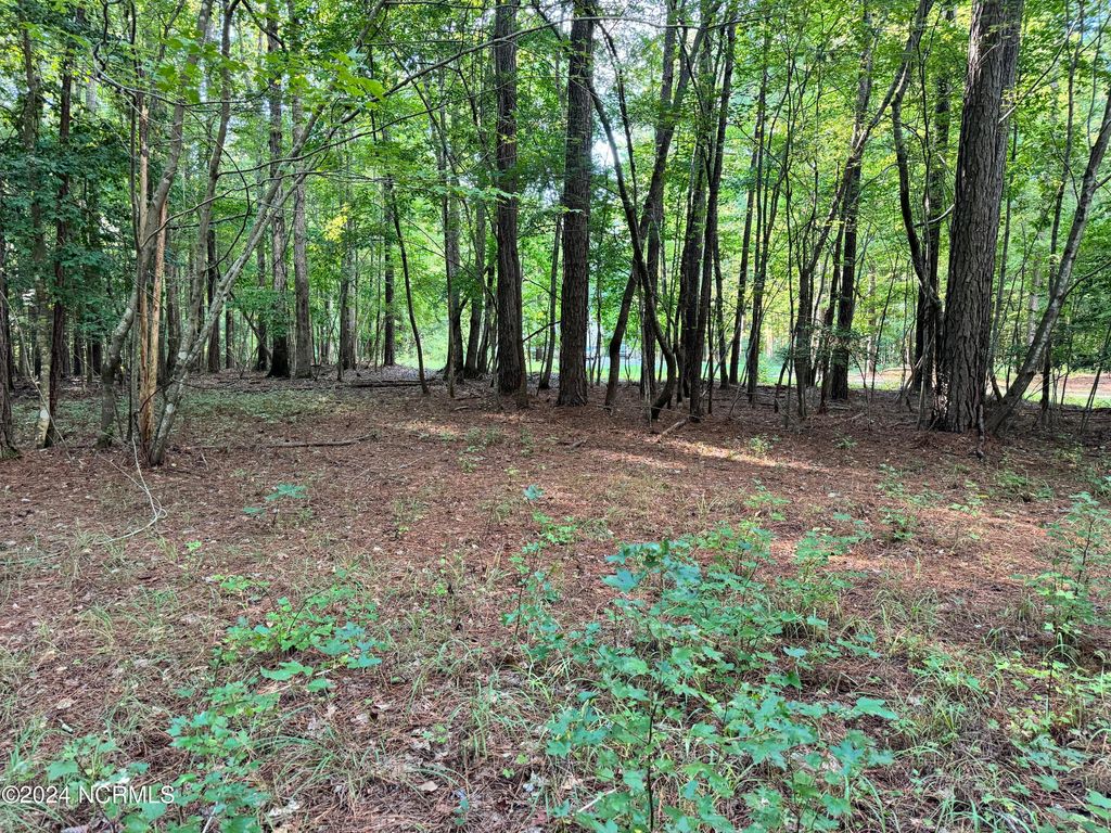Photo of 81 Beans Bend, Chocowinity, NC 27817 (MLS # 100466840)