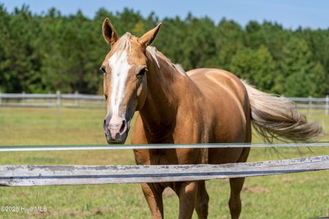 Tiny photo for 3508 Marathon Avenue, Castle Hayne, NC 28429 (MLS # 100541970)