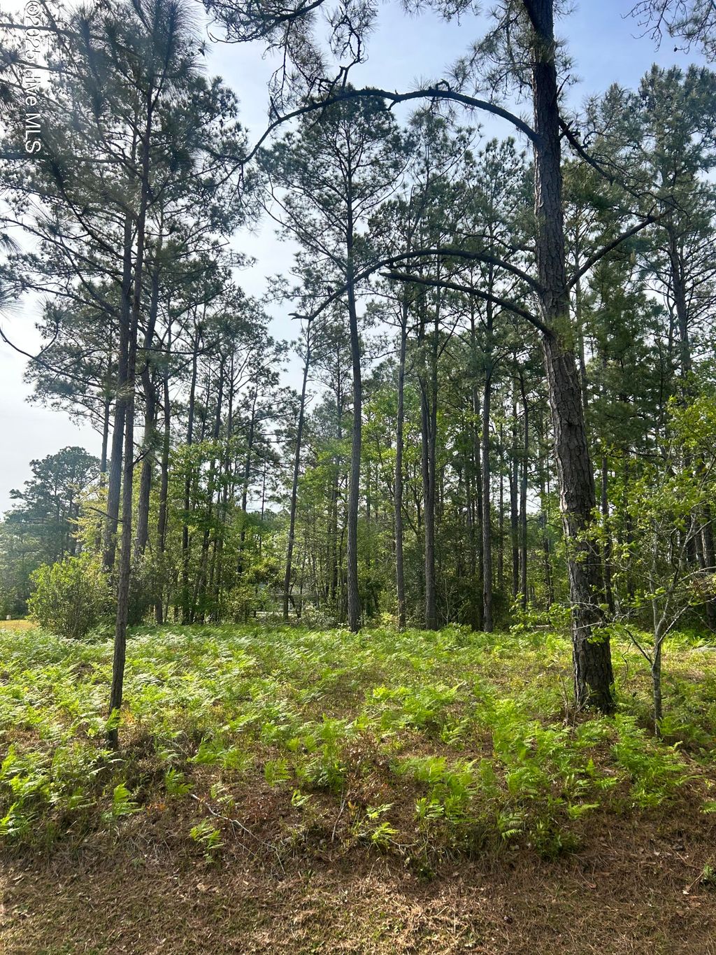 Photo of 235 Barrington Ridge, Bogue, NC 28570 (MLS # 100505246)