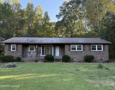 Photo of 600 Mallard Drive, Roper, NC 27970 (MLS # 100536608)