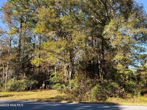 Tiny photo for 00 Hines Farm Road, Jacksonville, NC 28540 (MLS # 100540744)