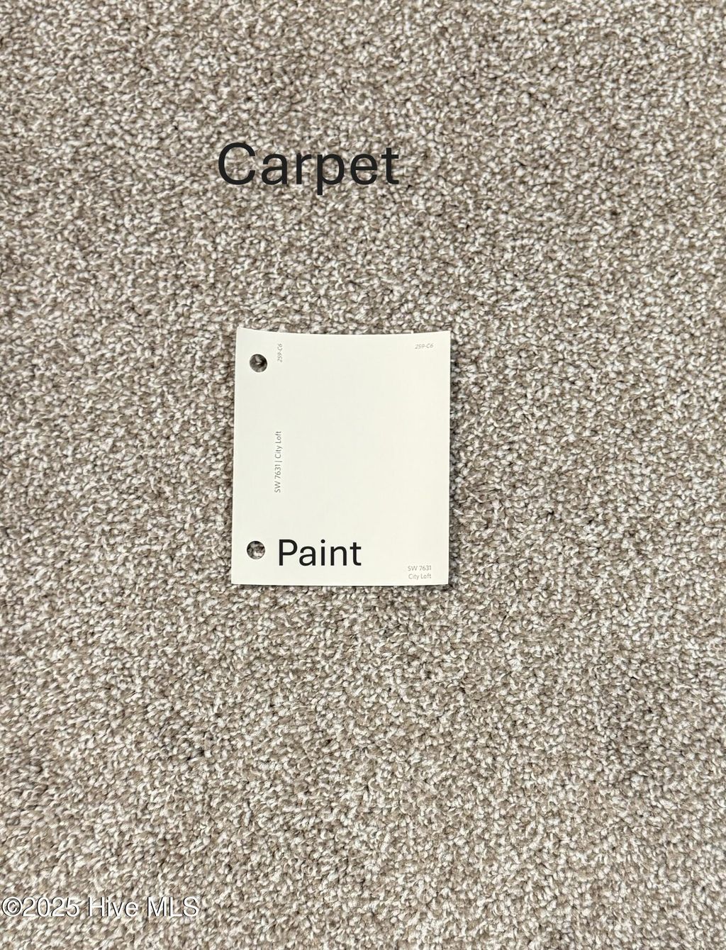 Photo of 374 Sacksonia Street, Raeford, NC 28376 (MLS # 100541078)