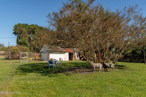 Tiny photo for 1021 Church Street, Willard, NC 28478 (MLS # 100535828)