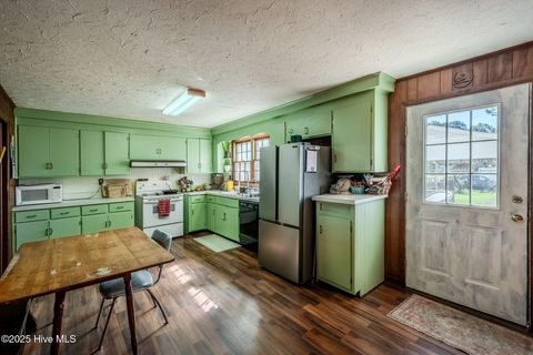 Tiny photo for 1021 Church Street, Willard, NC 28478 (MLS # 100535828)
