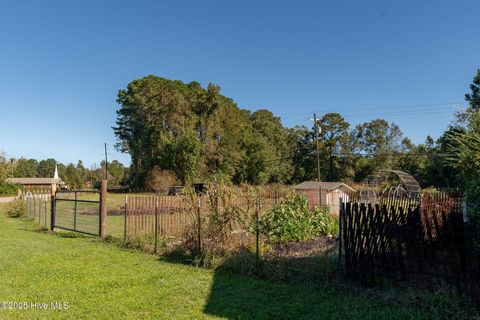 Tiny photo for 1021 Church Street, Willard, NC 28478 (MLS # 100535828)