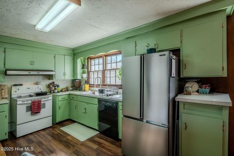 Tiny photo for 1021 Church Street, Willard, NC 28478 (MLS # 100535828)