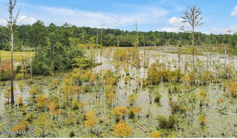 Tiny photo for 1124 Osprey Reserve #28, Leland, NC 28451 (MLS # 100538583)